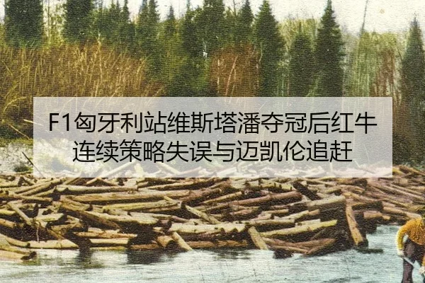 F1匈牙利站维斯塔潘夺冠后红牛连续策略失误与迈凯伦追赶
